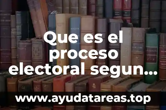 Que es el proceso electoral segun autores