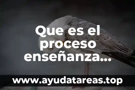 Que es la autogestion del aprendizaje en los docentes 7 Que es el proceso ense帽anza aprendizaje en salud