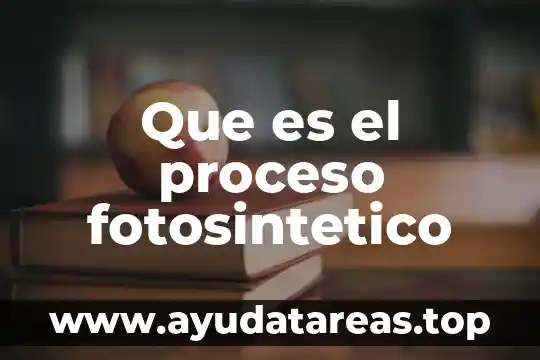 Que es el proceso fotosintetico