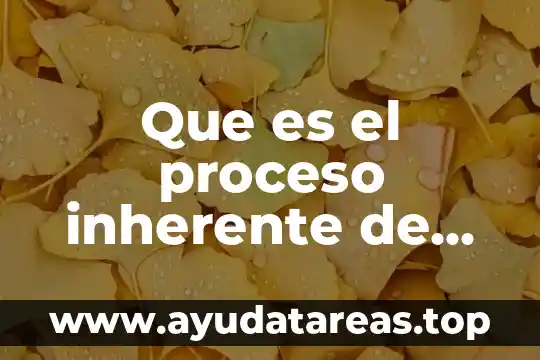 Que es el proceso inherente de comunicacion