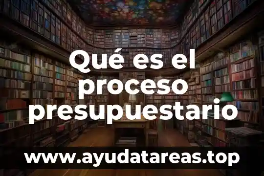 Que es el proceso de apropiacion 8 Qué es el proceso presupuestario