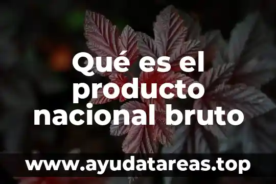 Qué es el producto nacional bruto