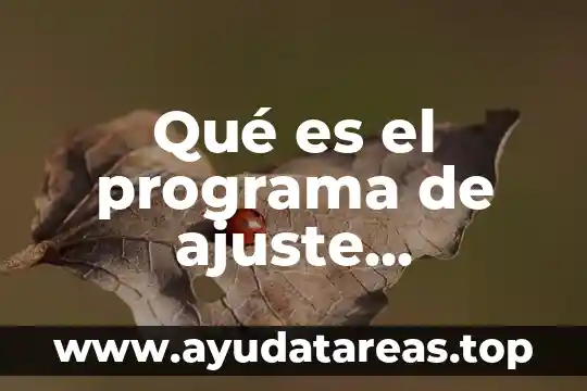 Qué es el programa de ajuste estructural p.a.e