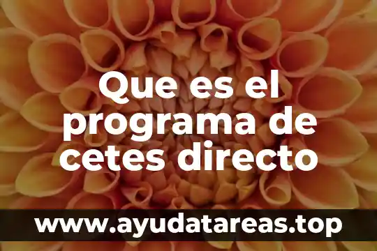 Que es el uso directo del agua 6 Que es el programa de cetes directo