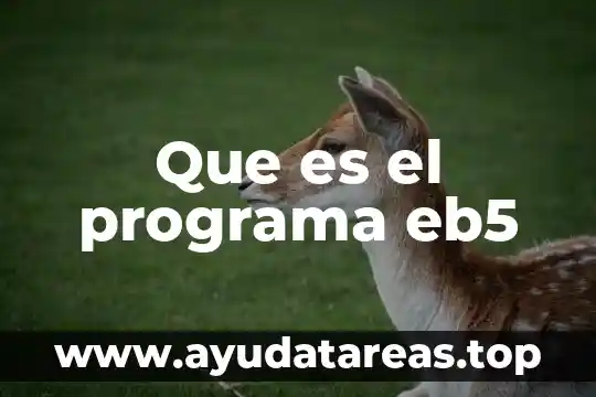 Que es un programa operativo definición 8 Que es el programa eb5