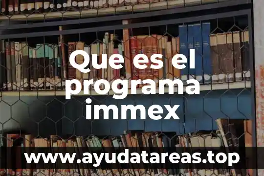 Que es el programa immex
