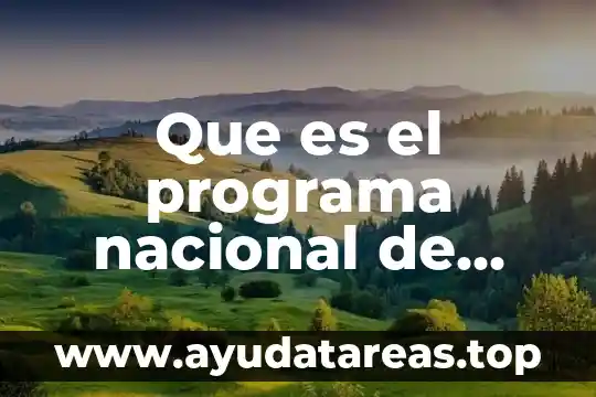 Que es la educacion disruptiva 8 Que es el programa nacional de educacion 2001 al 2006