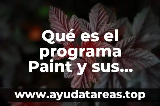 Qué es el programa Paint y sus herramientas