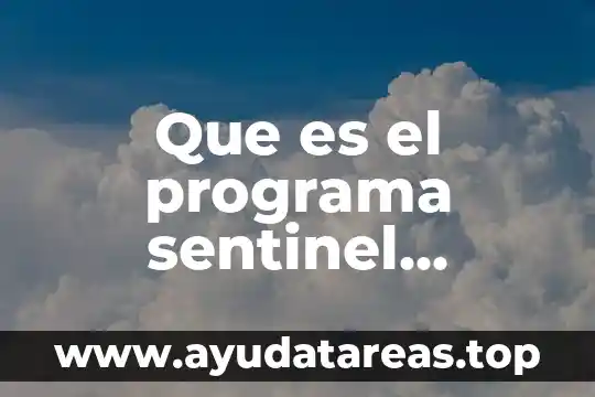 Que es un programa operativo definición 5 Que es el programa sentinel protection installer
