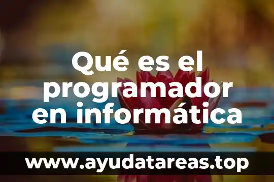Qué es el programador en informática