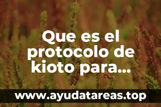Que es el color para niños 8 Que es el protocolo de kioto para niños