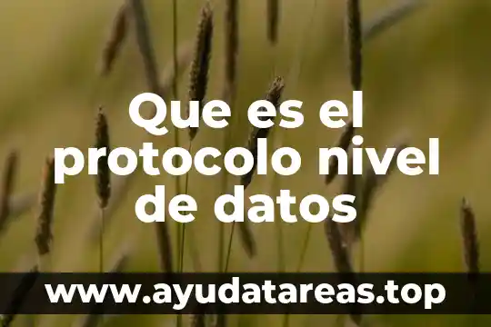Que es el protocolo nivel de datos