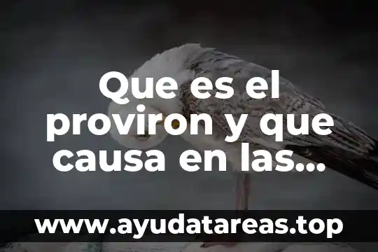 Por que es importante que las mujeres trabajen con masculinidades 5 Que es el proviron y que causa en las mujeres