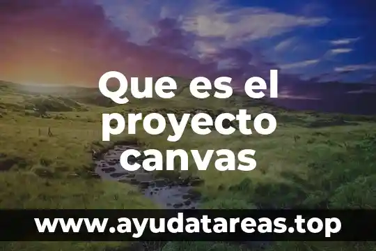 Que es un proyecto sintetico 3 Que es el proyecto canvas