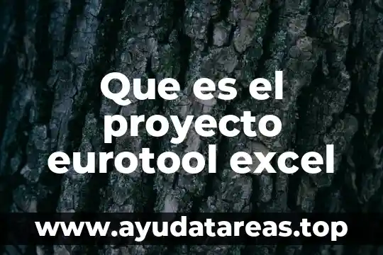 Que es el proyecto eurotool excel