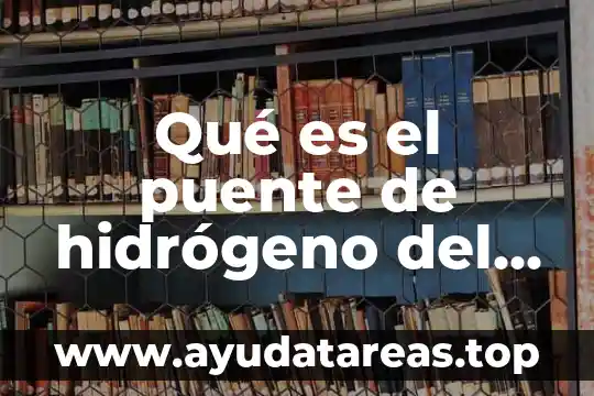 Qué es el puente de hidrógeno del agua