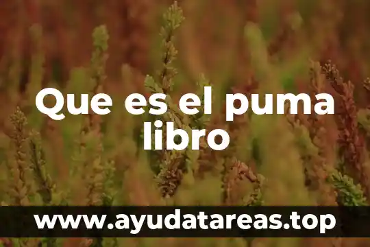 Que es color libro 6 Que es el puma libro