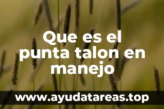 Que es una punta para cautin 4 Que es el punta talon en manejo