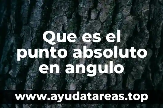 Para que es el signos de punto y signo 4 Que es el punto absoluto en angulo