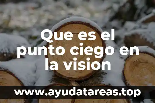 Visión que es 6 Que es el punto ciego en la vision