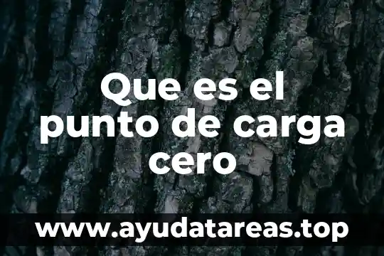 Que es una carga en ingenieria 5 Que es el punto de carga cero