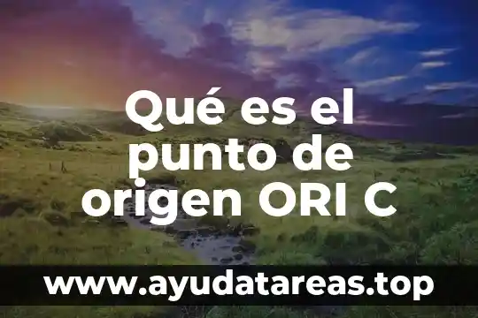 Qué es el punto de origen ORI C