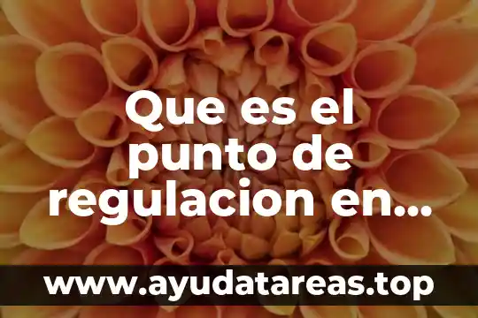 Que es la regulación del agua 4 Que es el punto de regulacion en fisiologia