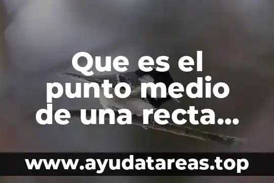 Que es el punto medio de una recta ejemplos