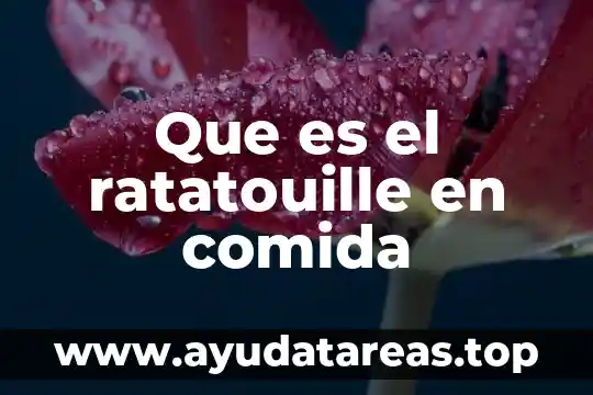 Que es soñar con cucarachas en la comida 6 Que es el ratatouille en comida