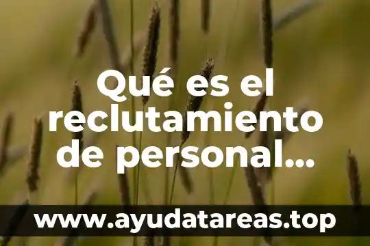 Qué es el reclutamiento de personal interna de necesidades