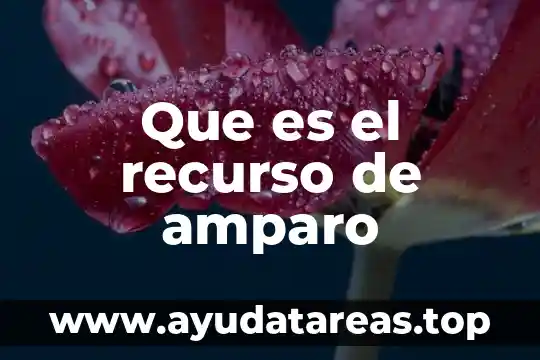 Que es el amparo significado juridico 4 Que es el recurso de amparo