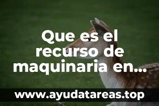 Que es el recurso de maquinaria en una empresa