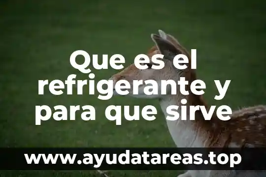 Que es el refrigerante y para que sirve