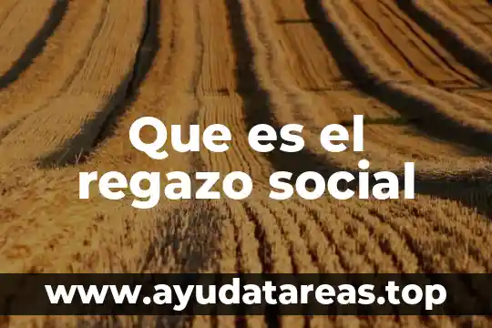 Que es el regazo social