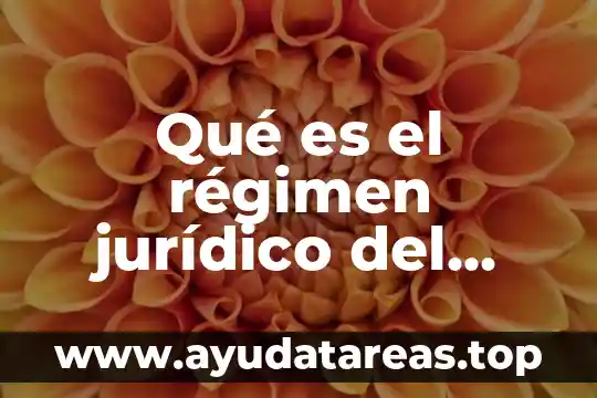 Qué es el régimen jurídico del sistema de mercado