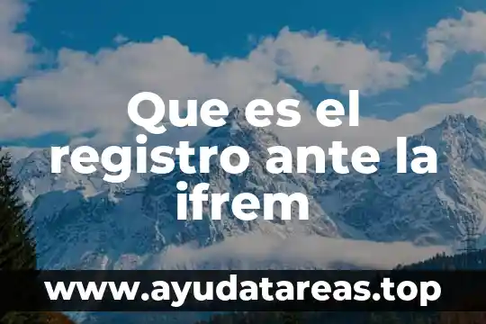 Que es el registro ante la ifrem