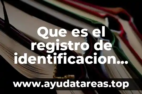 Qué es el número de identificación tributaria 7 Que es el registro de identificacion tributaria