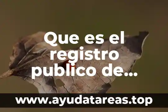 Que es el registro publico de comercio definicion