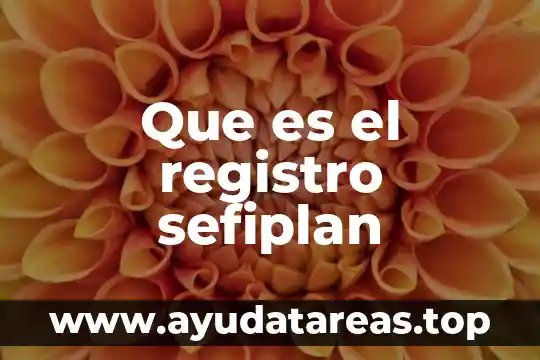 Que es el registro sefiplan