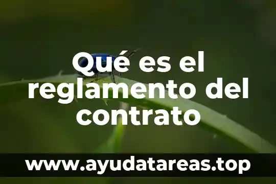 Qué es un convenio modificatorio de contrato 3 Qué es el reglamento del contrato