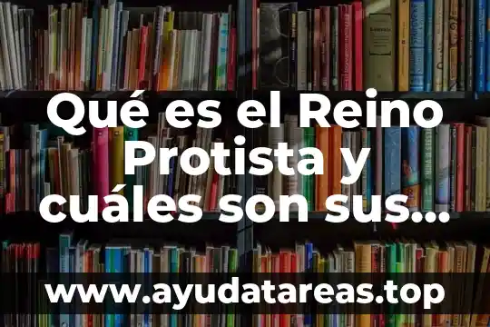 Qué es el Reino Protista y cuáles son sus características