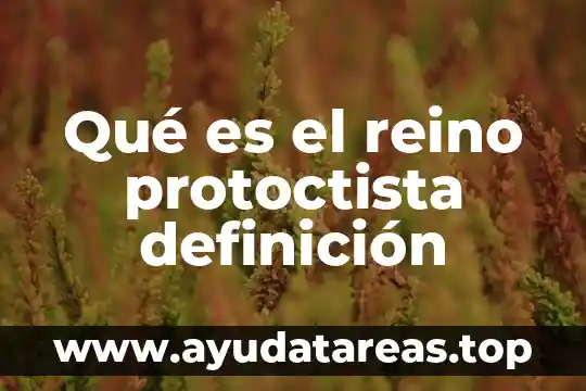 Qué es el reino protoctista definición