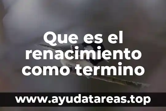 Que es el cociente en termino matemático 4 Que es el renacimiento como termino