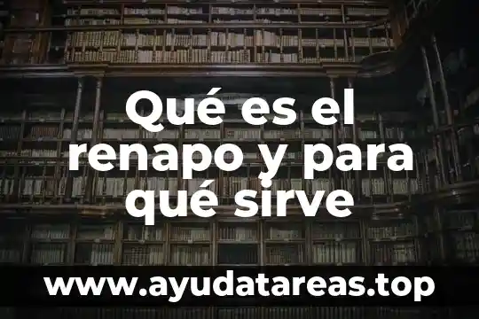 Qué es el renapo y para qué sirve