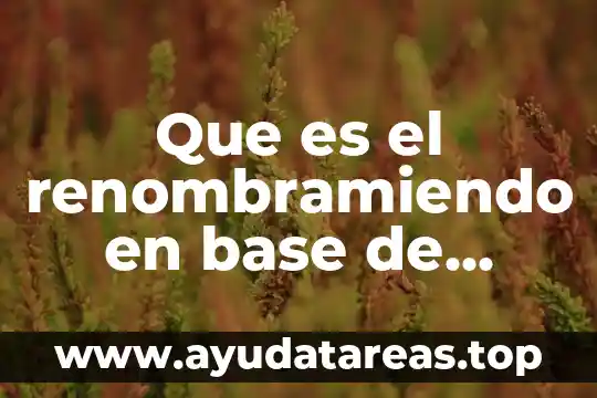 Que es caídas de base amplia 7 Que es el renombramiendo en base de datos