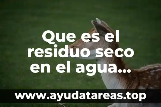 Residuo que es el alcohol mas el agua destilada 5 Que es el residuo seco en el agua residual