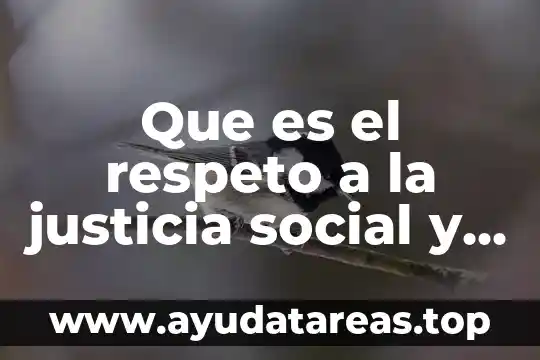 La problematica economica que es 4 Que es el respeto a la justicia social y economica