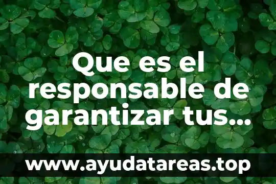 Que es el responsable de garantizar tus derechos
