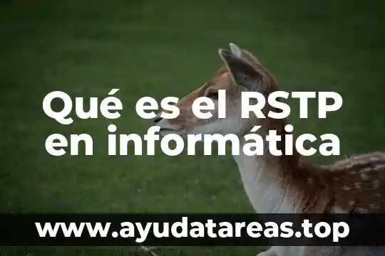 En filosofía que es método clases 6 Qué es el RSTP en informática