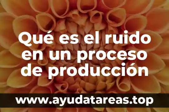 Que es la relacion señal ruido en neurociencia 6 Qué es el ruido en un proceso de producción